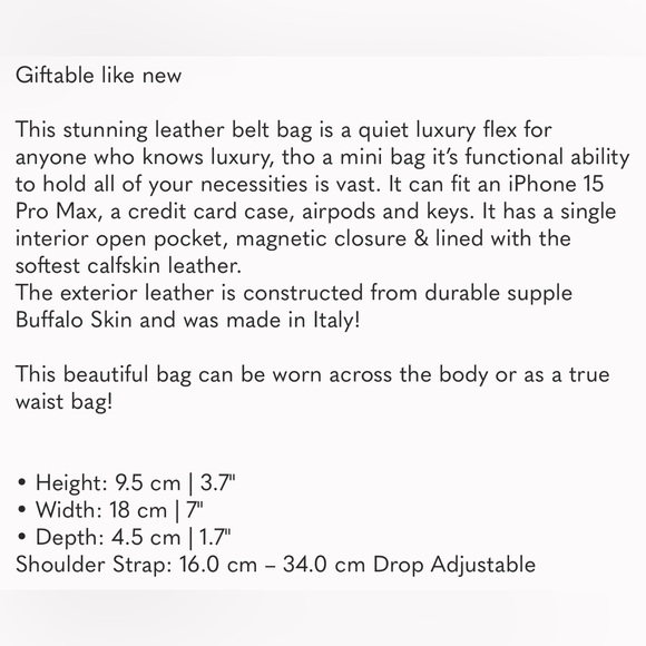 Bottega Veneta Mini Intrecciato Cassette Belt Bag & Dustbag - Picture 7 of 7